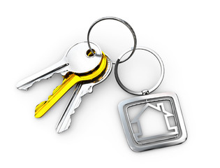 3d Illustration of silver and gold Door keys