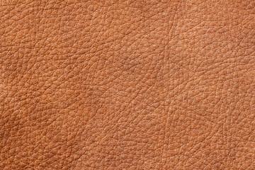 Texture of background for designer, brown color, pattern of genuine leather surface. For background , backdrop, substrate, composition use.