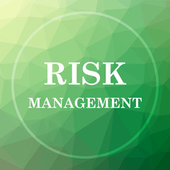 Risk management icon