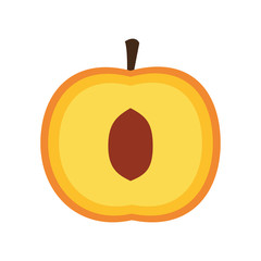 peach fruit icon over white background. colorful design. vector illustration