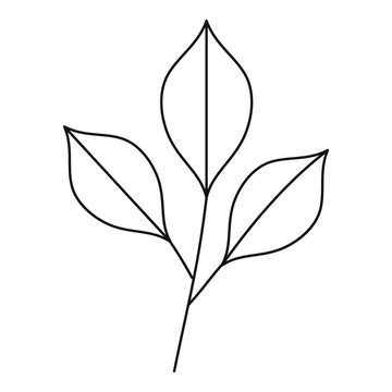 Three leafs icon, outline style