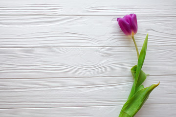 Fototapeta na wymiar Wooden white background and pink tulips. March 8, Mother's Day.