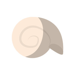 molusk icon over white background. colorful design. vector illustration