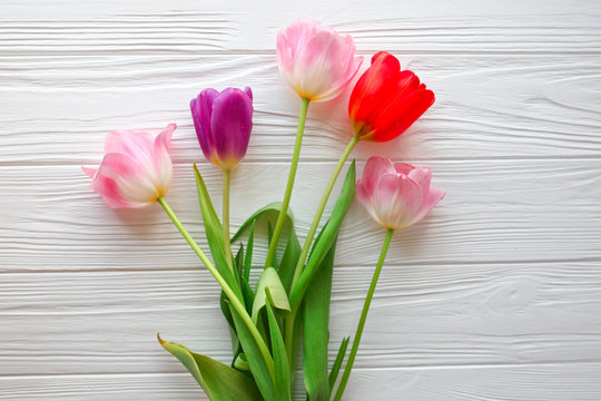 Wooden white background and pink tulips.  March 8, Mother's Day.
