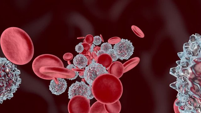 Flowing Erythrocyte aka Hemoglobin cells