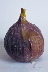 Fig on white background