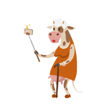 Funny picture cow photographer mamal person take selfie stick in his hand and cute animal taking a selfie together with smartphone camera vector illustration.