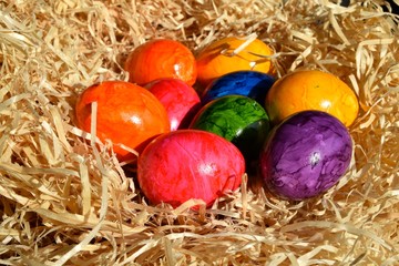 Bunte Eier