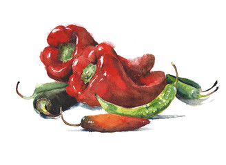 Peppers watercolor painting isolated on white background