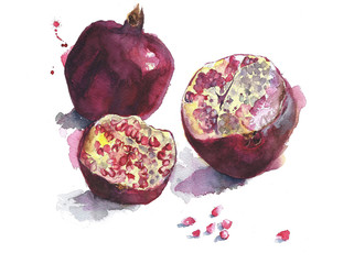 Pomegranates watercolor painting isolated on white - 139156636