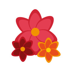 colorful flowers over white background. vector illustration