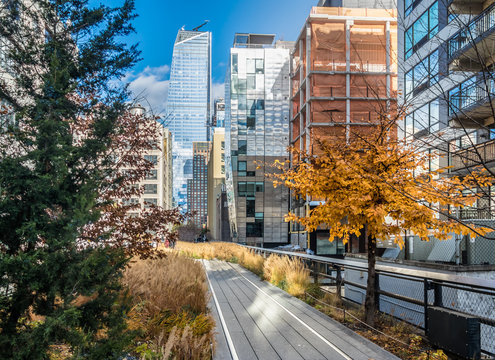 Fototapeta High Line Park - New York, USA