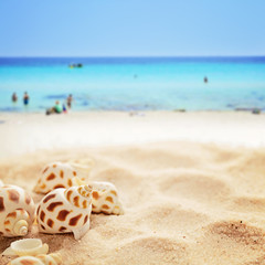 Fototapeta na wymiar sunny beach