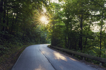 Road in Silesian Beskids in Poland