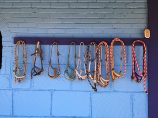 Colorful Halters