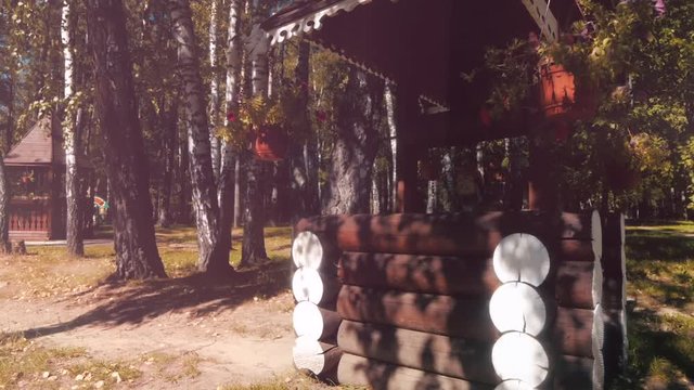 The witch in the Park in the woods