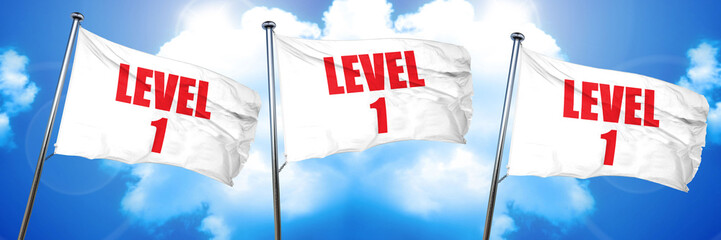 level 1, 3D rendering, triple flags