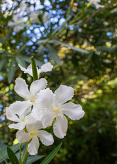 Botanical Garden, Coimbra, Portugal