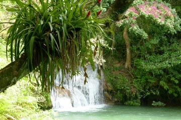 Wasserfälle im Dschungel