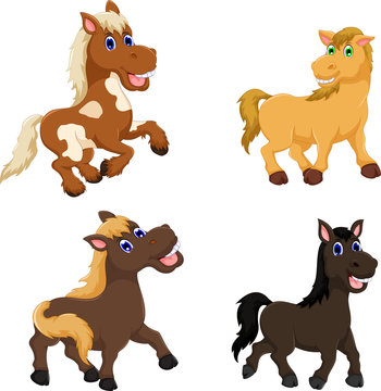 Collection Of Cute Horse Cartoon