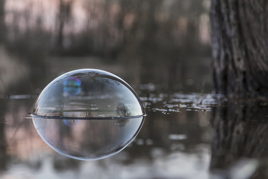 Silver globe buuble