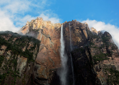 Angel Falls is world&acute;s highest waterfalls (978 m) in the early morning - Venezuela, Latin America
