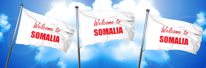 Welcome to somalia, 3D rendering, triple flags