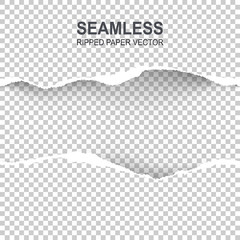 Seamless ripped paper and transparent background with space for text