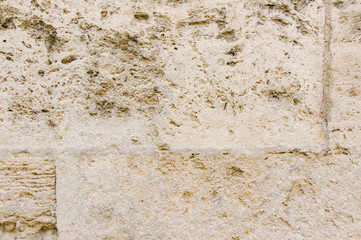 Background of Coquina