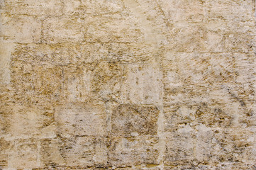 Background of Coquina