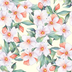 Floral pattern. Watercolor background with white flowers