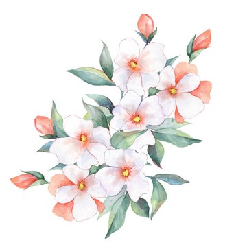 Watercolor bouquet. White flowers. Wedding, birthday, Valentine's Day, Mother's Day Isolated on white background
