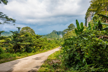Exotic Jungle Landscape With Road and Cliff Mounds - sabang, Puerto Princesa - Palawan