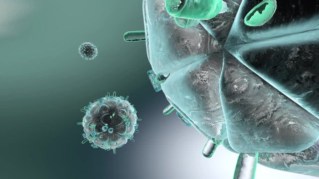 Animation of HIV Viruses