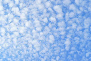 真夏のひつじ雲と青空