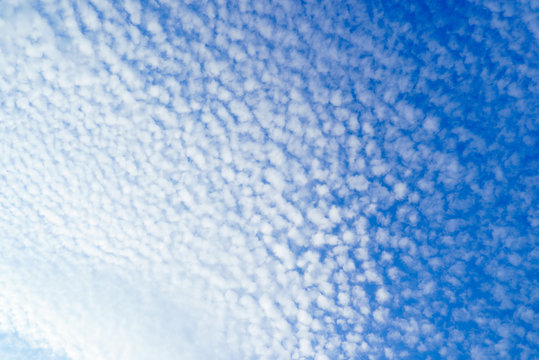 256 Best 羊雲 Images Stock Photos Vectors Adobe Stock