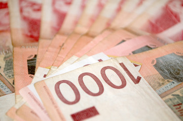 Serbian dinar money, banknotes of 1,000 dinars - obrazy, fototapety, plakaty