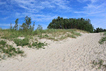 Sand beach nearby of the Baltic Sea. Curonian spit, Russia.