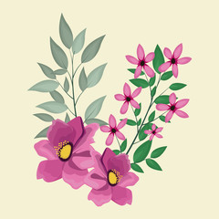 anemone decoration leaves nature vector illustration eps 10