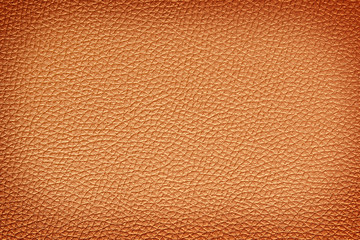 Leather texture closeup