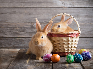 rabbits with Easter eggs on wooden background