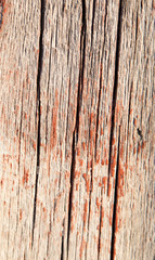 Fototapeta premium old wooden fence as a backdrop