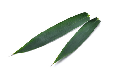 Bamboo leaf isolated on white background