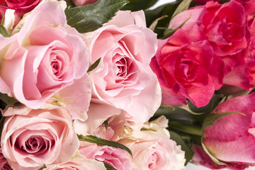 Bouquet of pink roses, close up