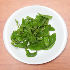 basil leaves