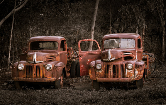 Two rusty old Ford trucks abandoned