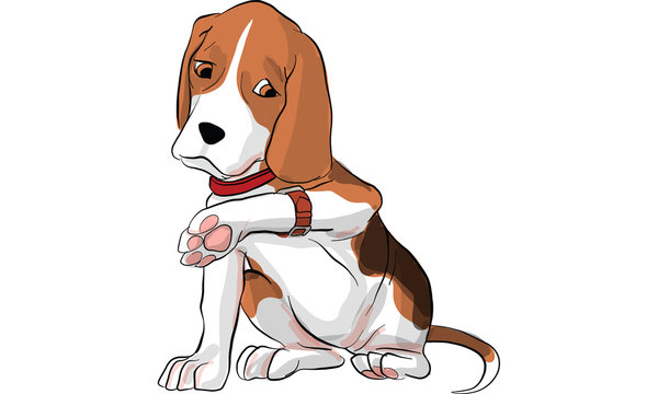 beagle dog action