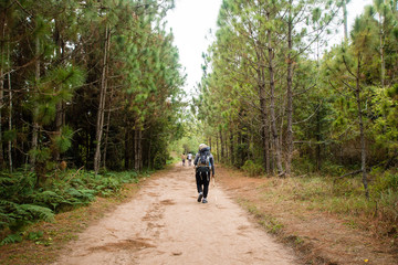 hiking in forest with sunlight, low key with soft focus