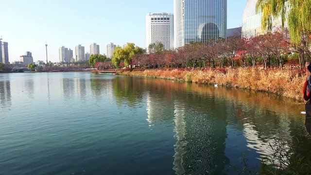 4K of The Lotte World Tower Korea's Tallest Building with blue sky and reflexion on the lake at the park, Lotteworldtower is the tallest building in South Korea
