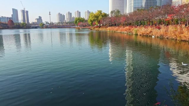 Seokchon Lake in Seoul, Korea. This is composed of the east and west lakes. Every year when cherry blossoms grow is celebrated the Seokchon Lake Cherry Blossom Festival.